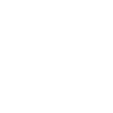 project-table-icon